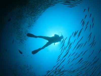 Professional Pictures By Rich